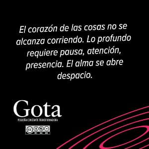 La prisa casi nunca lleva al centro 2 Gotas 02N